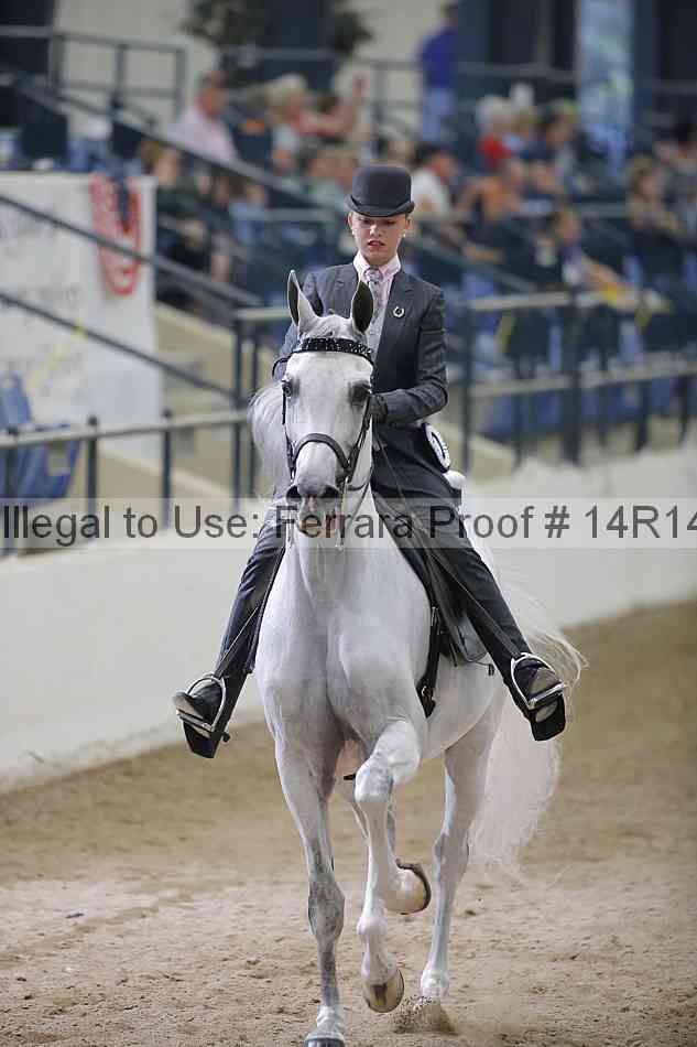 Proof Number 14r14_3524