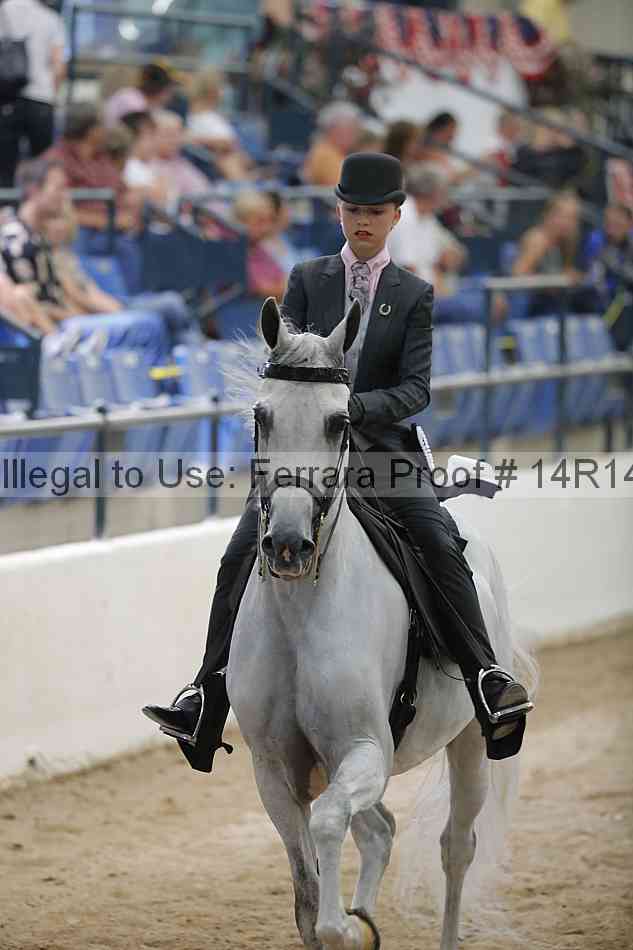 Proof Number 14r14_3525