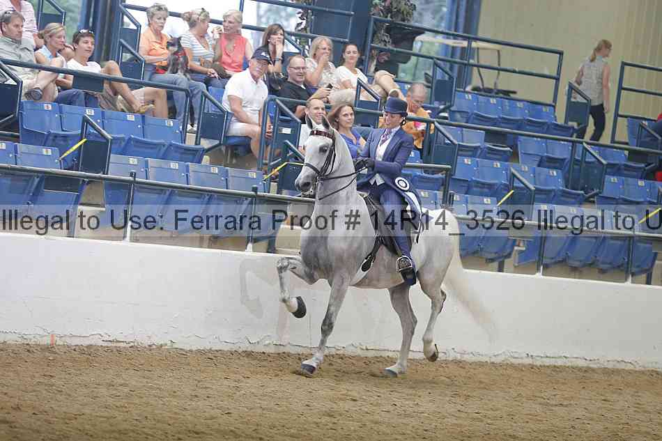Proof Number 14r14_3526