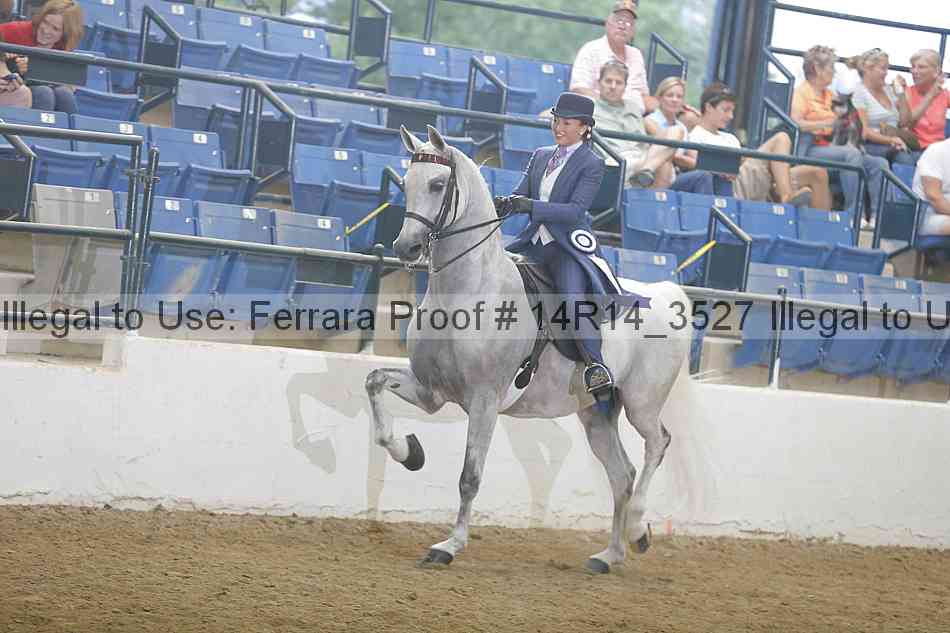 Proof Number 14r14_3527