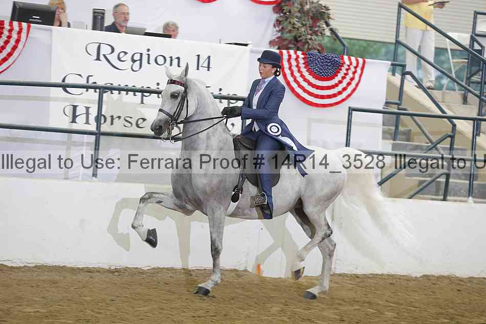 Proof Number 14r14_3528