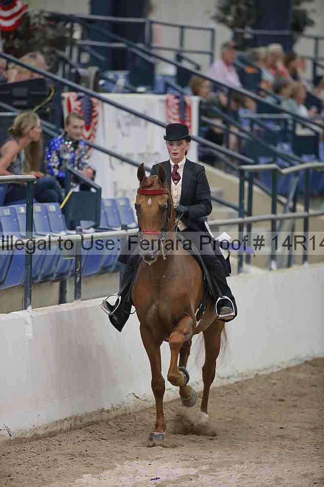 Proof Number 14r14_3529