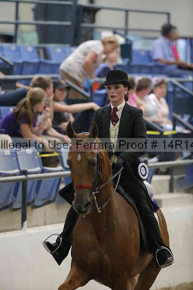 Proof Number 14r14_3531