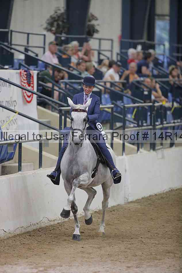 Proof Number 14r14_3532