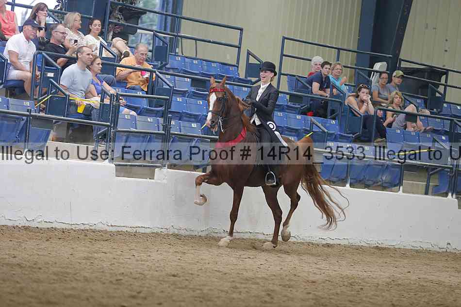 Proof Number 14r14_3533