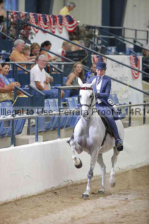 Proof Number 14r14_3534