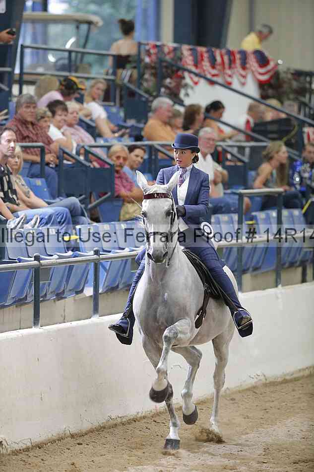 Proof Number 14r14_3535