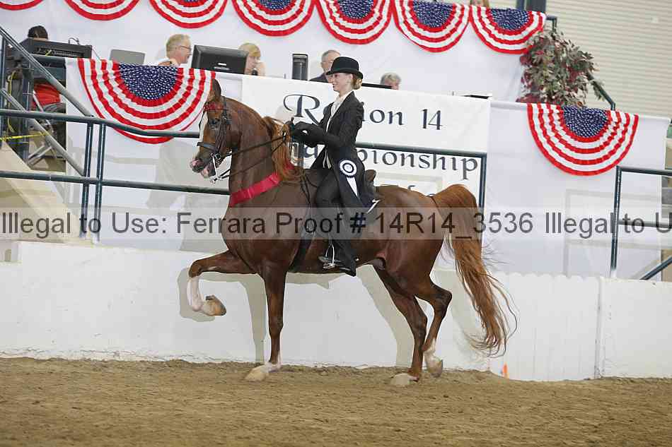 Proof Number 14r14_3536