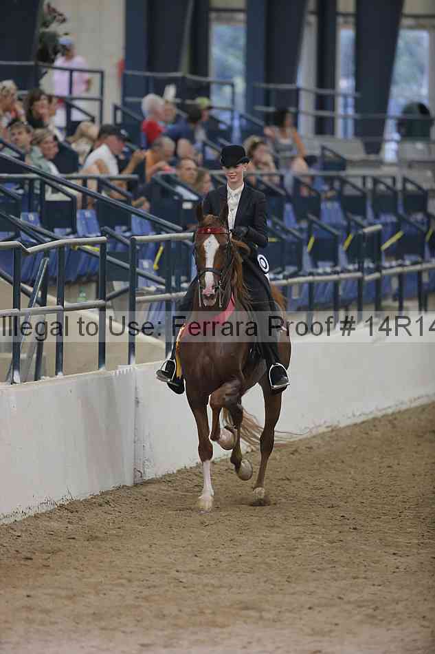 Proof Number 14r14_3537