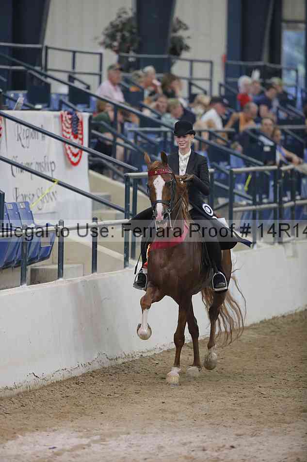 Proof Number 14r14_3538