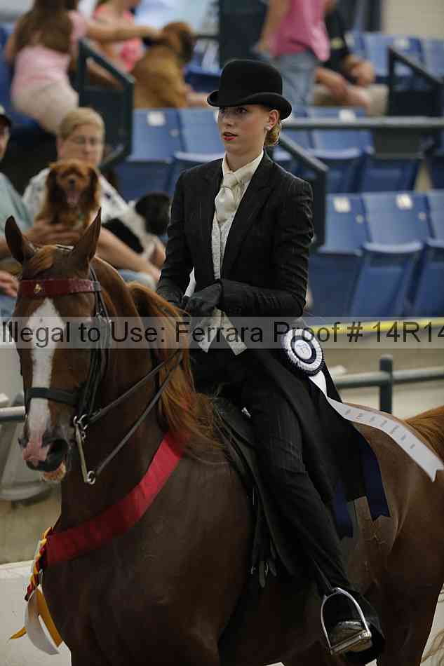 Proof Number 14r14_3539