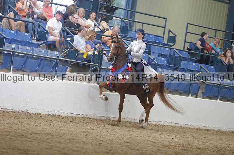 Proof Number 14r14_3540