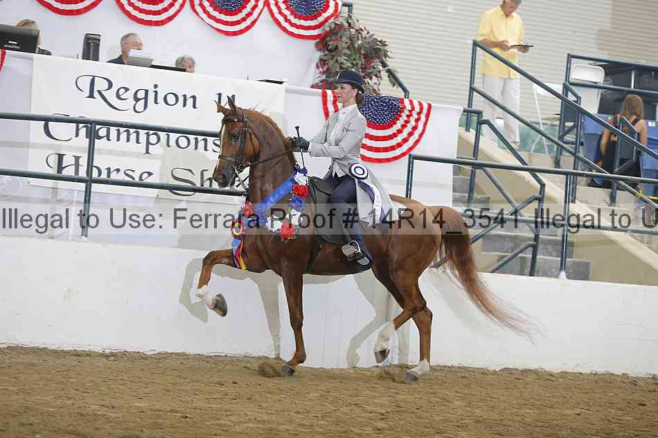 Proof Number 14r14_3541