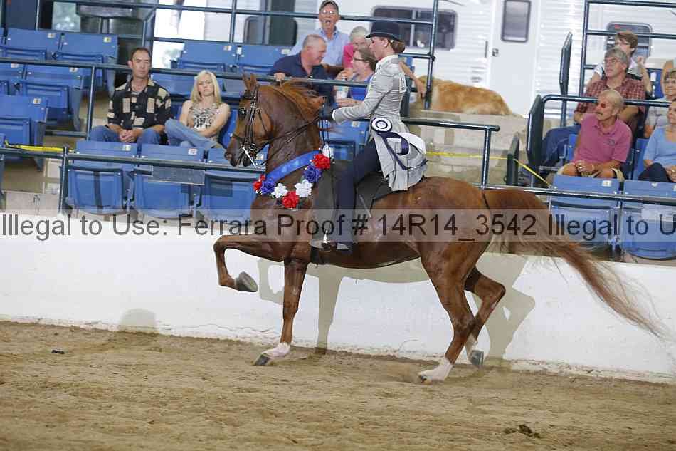 Proof Number 14r14_3542