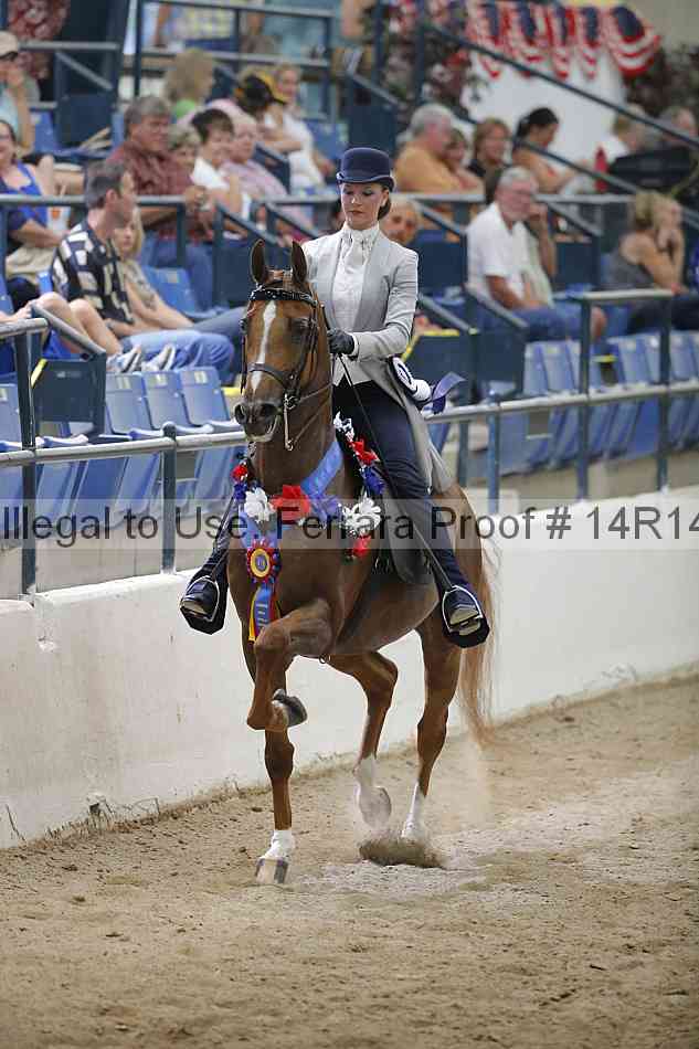 Proof Number 14r14_3543