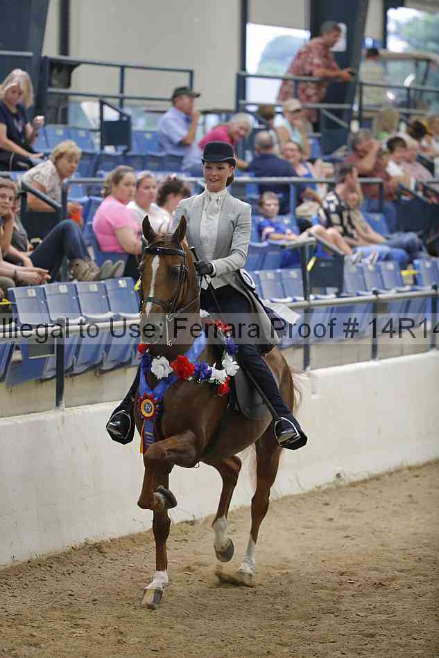 Proof Number 14r14_3544