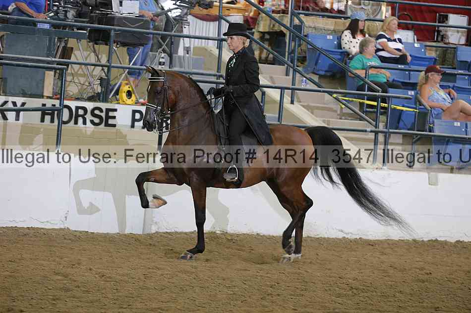 Proof Number 14r14_3547