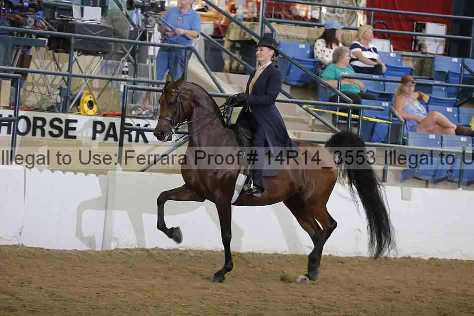 Proof Number 14r14_3553