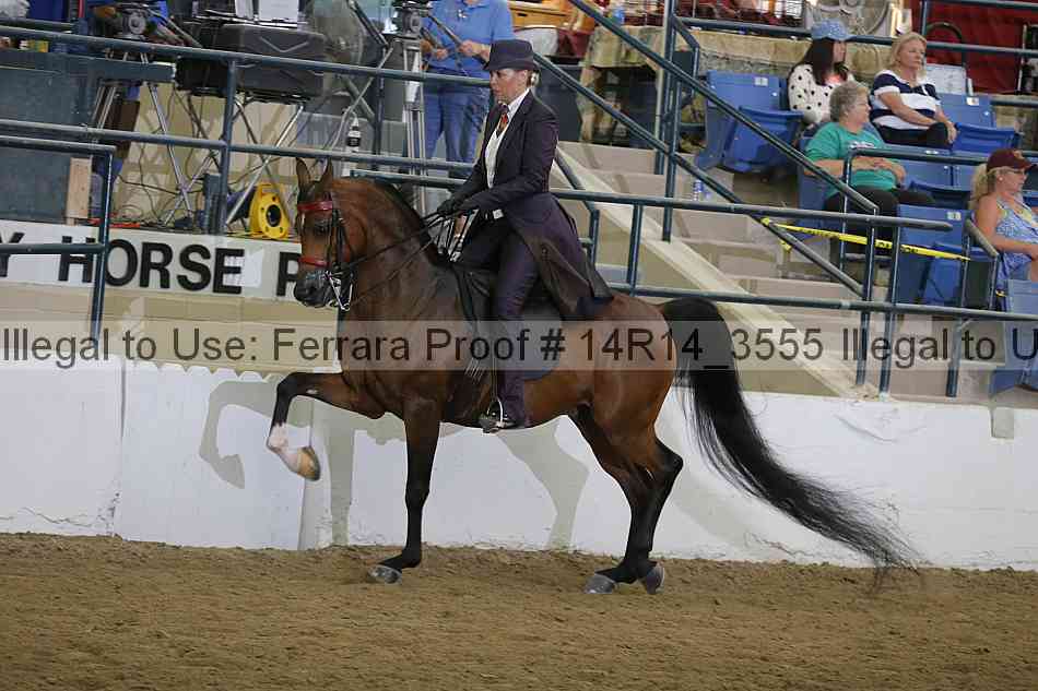 Proof Number 14r14_3555