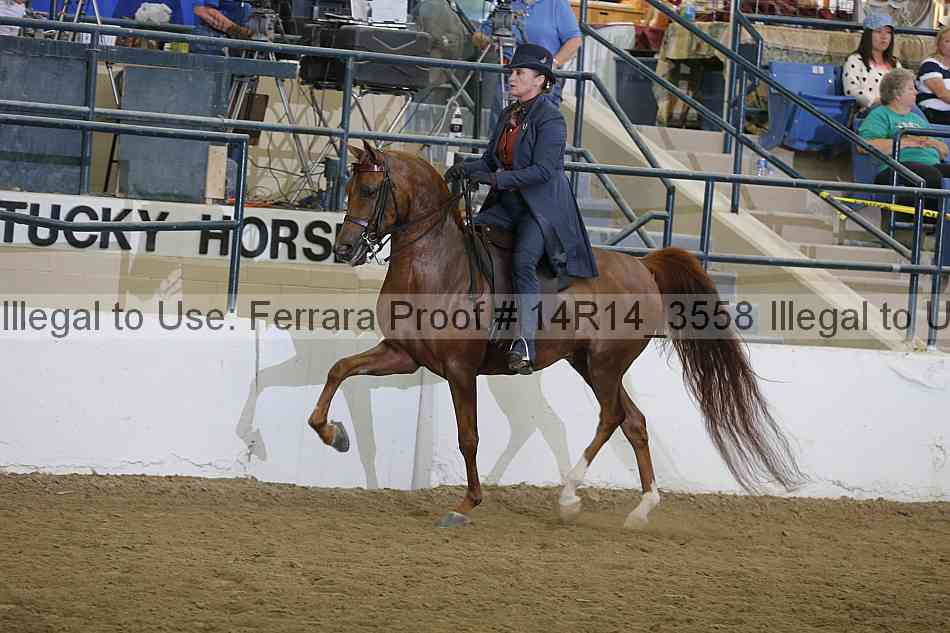 Proof Number 14r14_3558