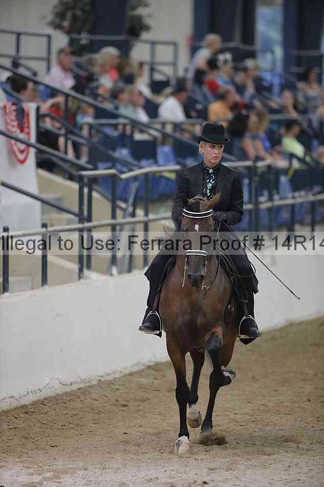 Proof Number 14r14_3561