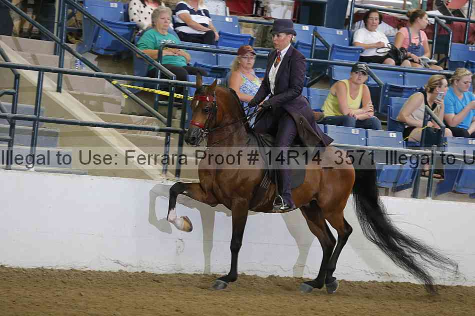 Proof Number 14r14_3571