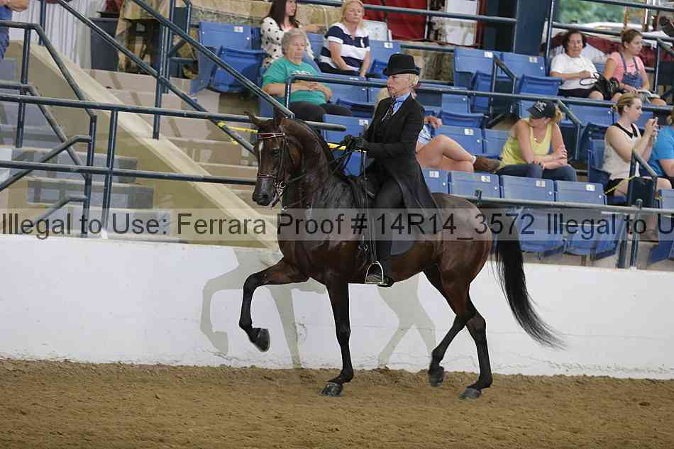Proof Number 14r14_3572