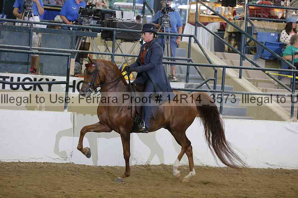 Proof Number 14r14_3573