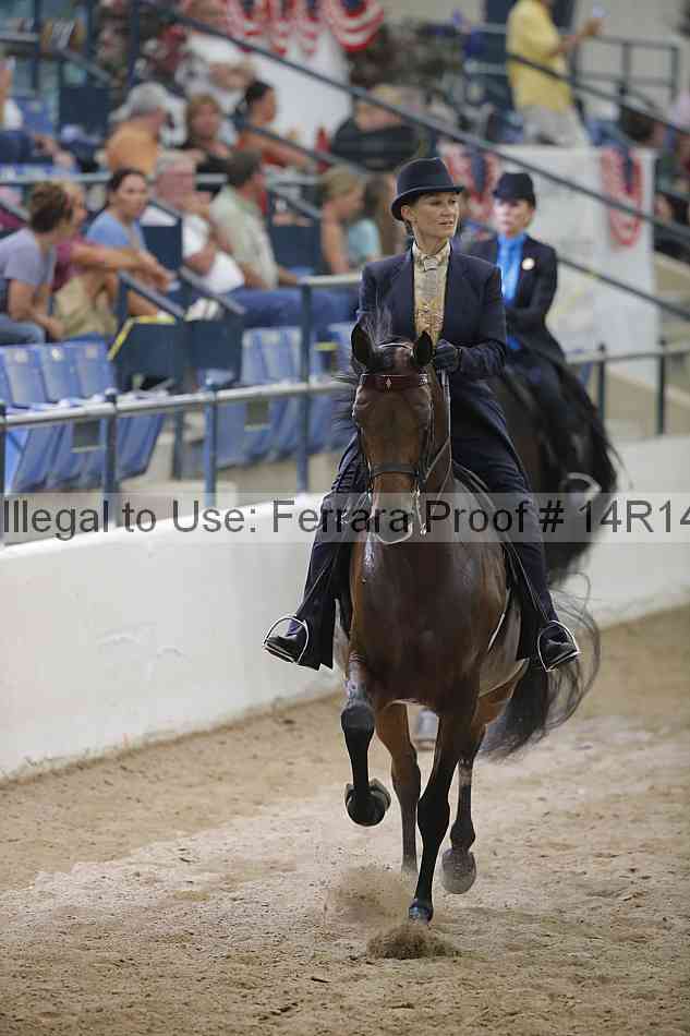 Proof Number 14r14_3575