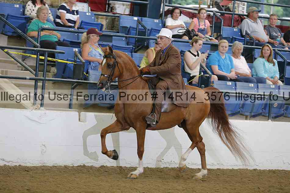 Proof Number 14r14_3576