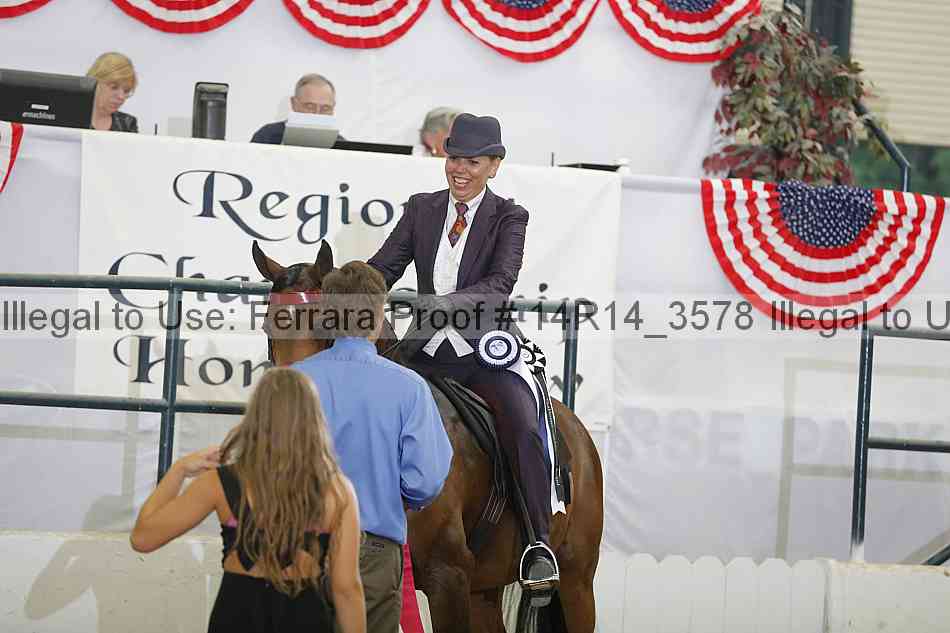 Proof Number 14r14_3578