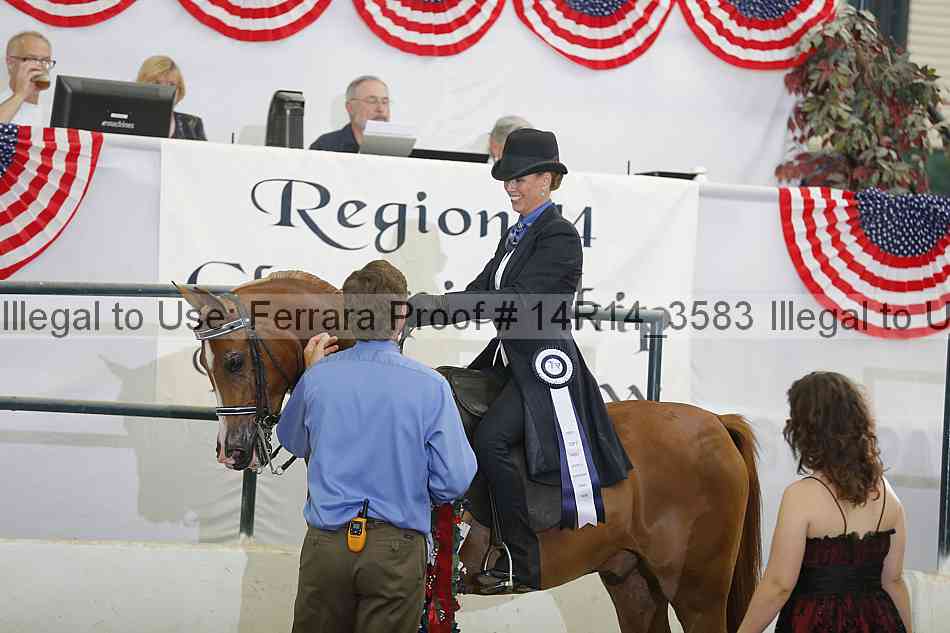 Proof Number 14r14_3583