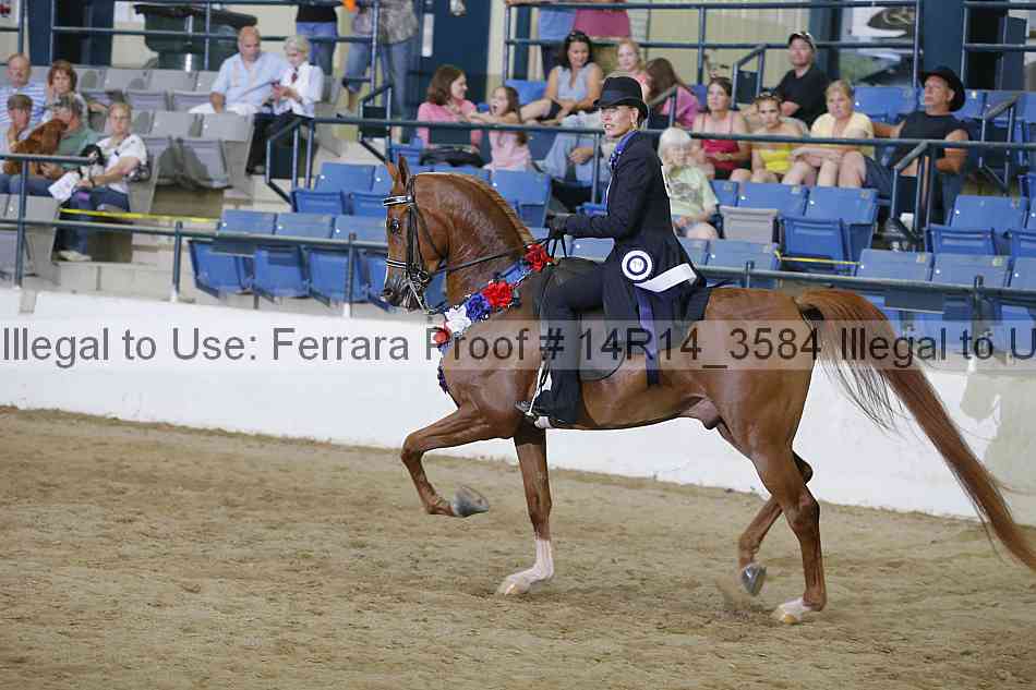 Proof Number 14r14_3584