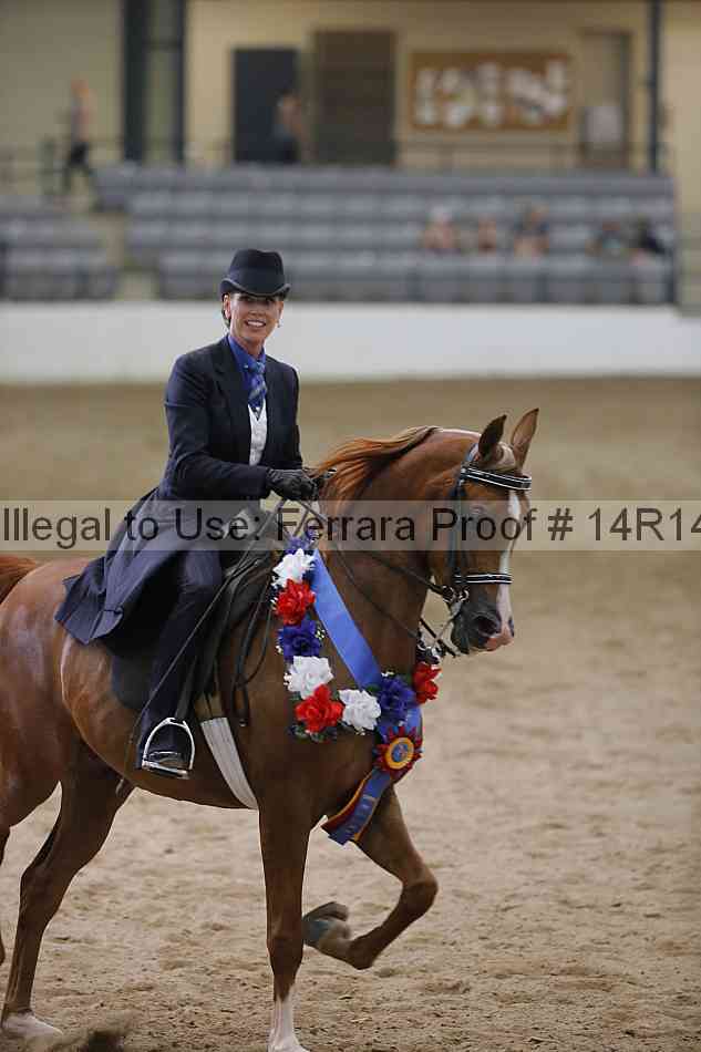 Proof Number 14r14_3585