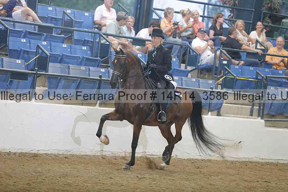 Proof Number 14r14_3586