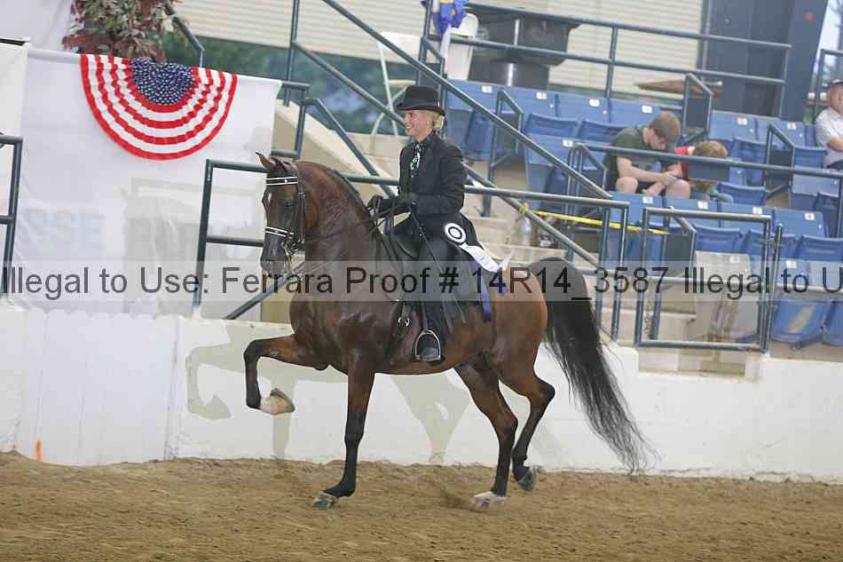 Proof Number 14r14_3587