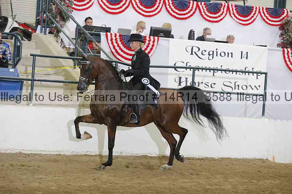 Proof Number 14r14_3588