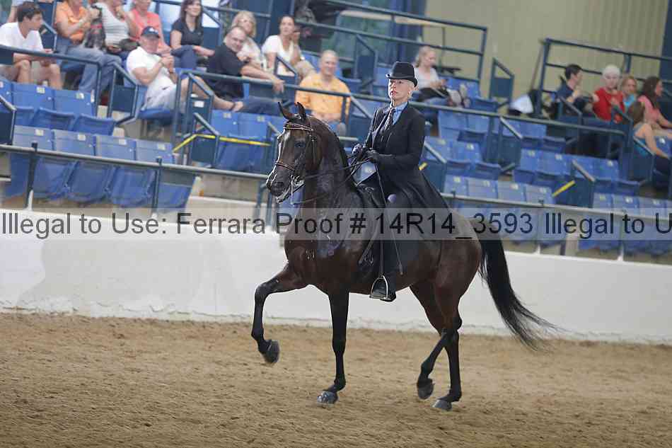 Proof Number 14r14_3593