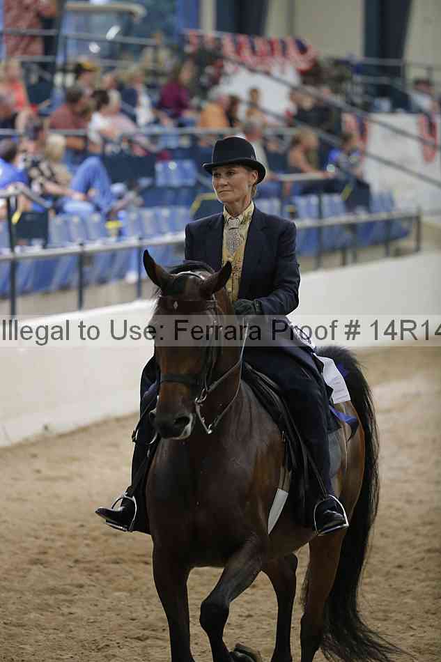 Proof Number 14r14_3594