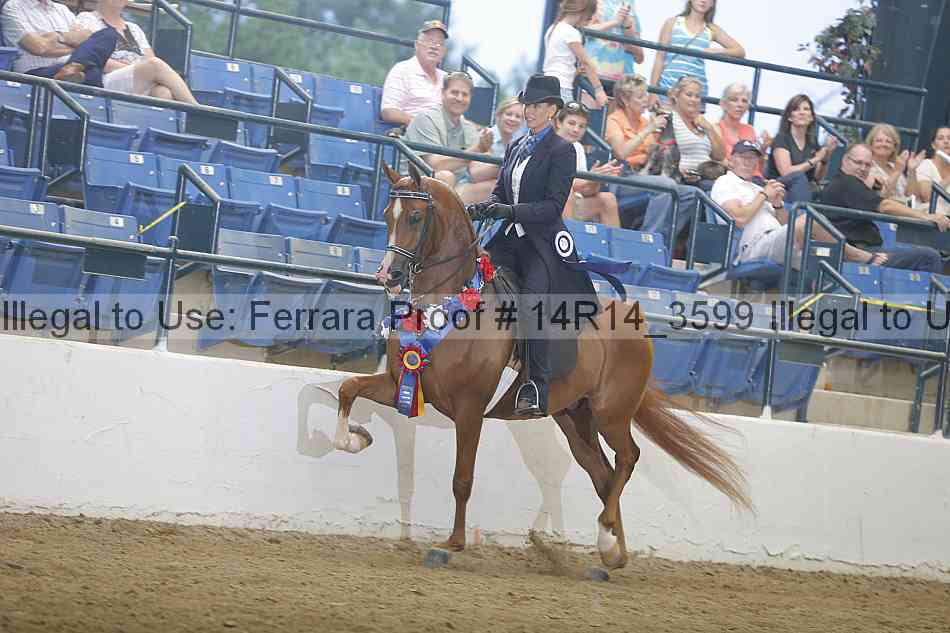 Proof Number 14r14_3599