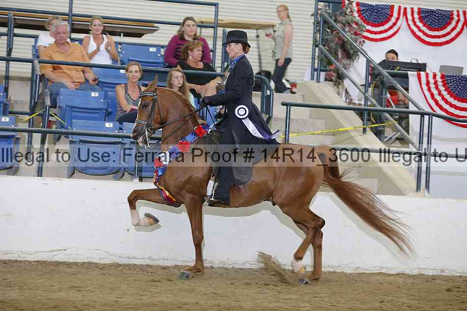 Proof Number 14r14_3600