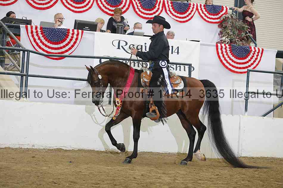 Proof Number 14r14_3635
