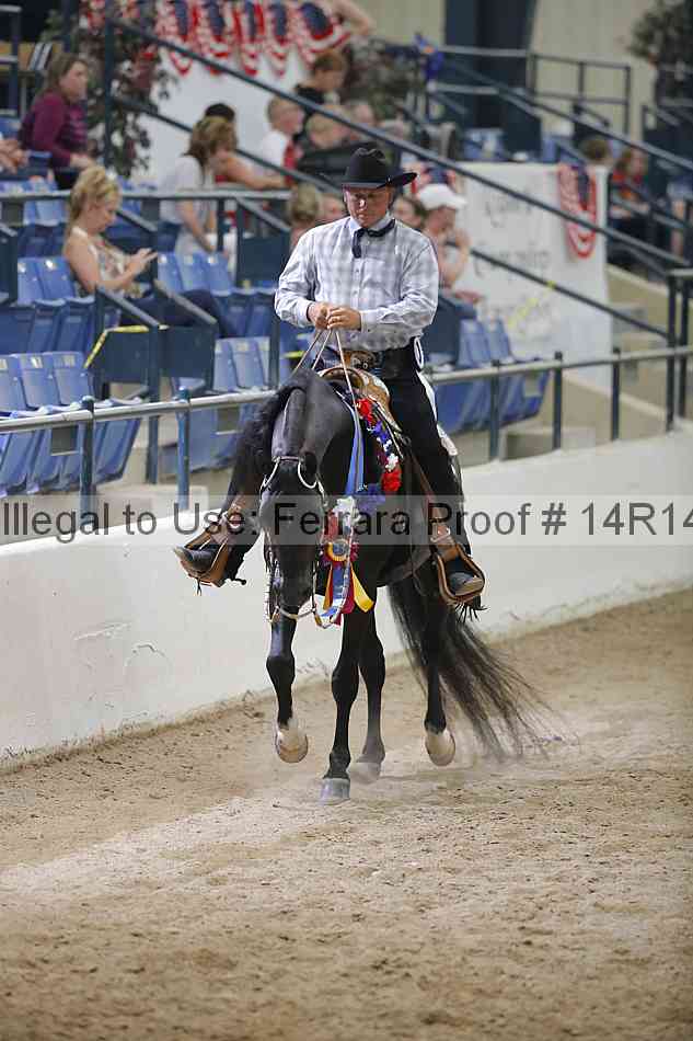 Proof Number 14r14_3640