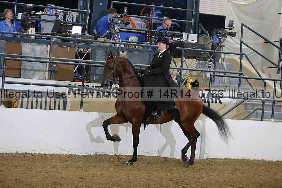 Proof Number 14r14_3786