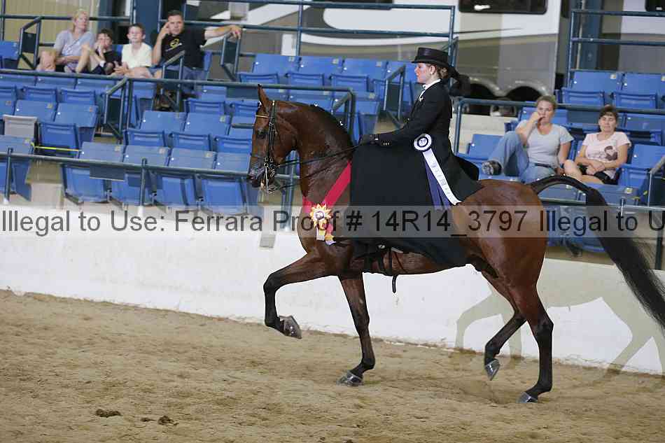 Proof Number 14r14_3797