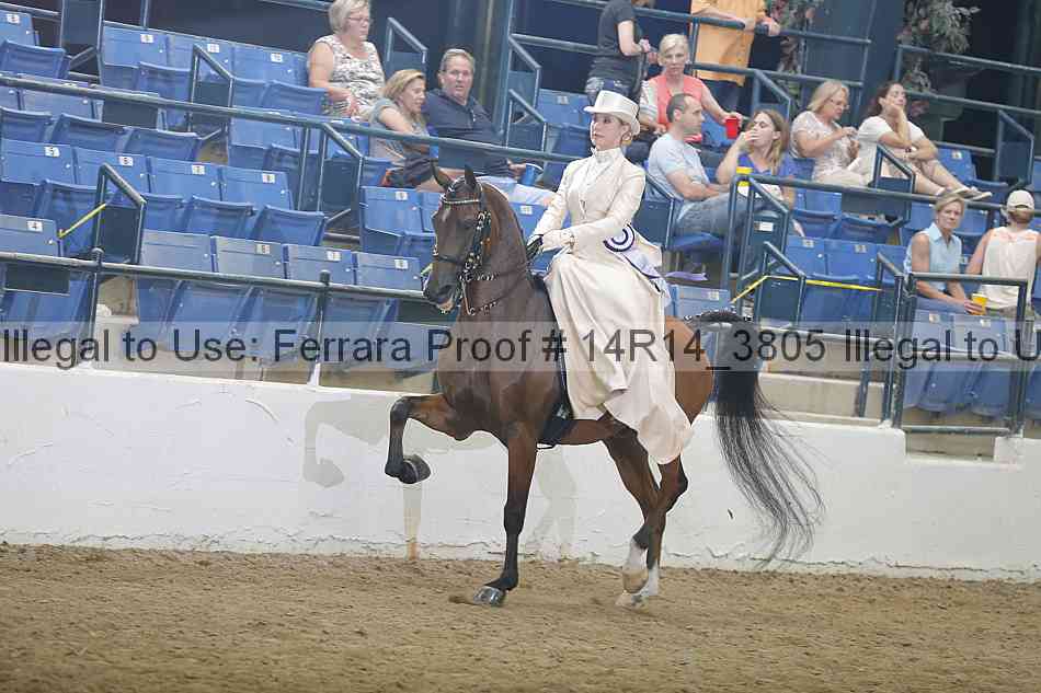 Proof Number 14r14_3805