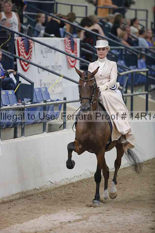 Proof Number 14r14_3807