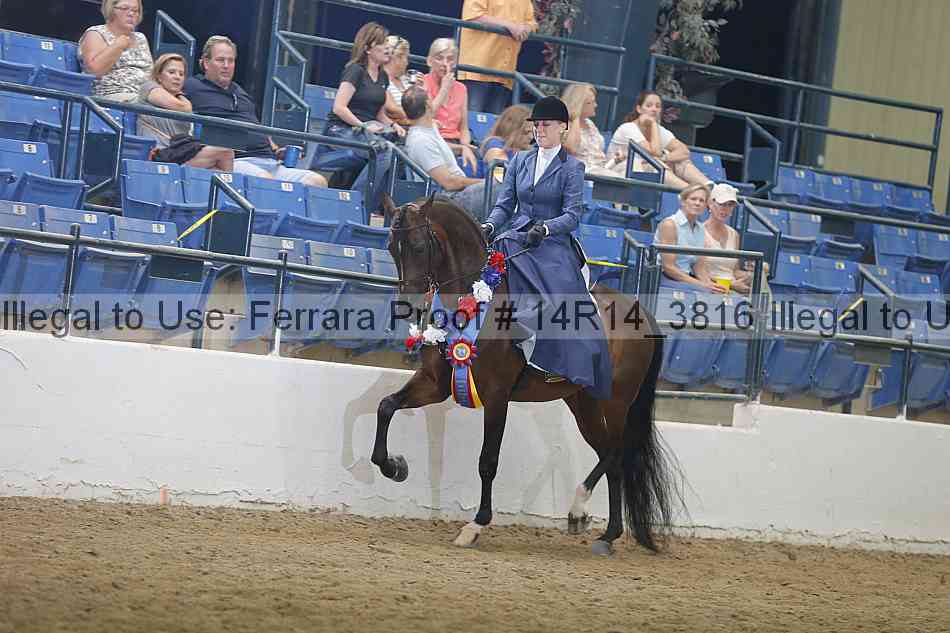 Proof Number 14r14_3816