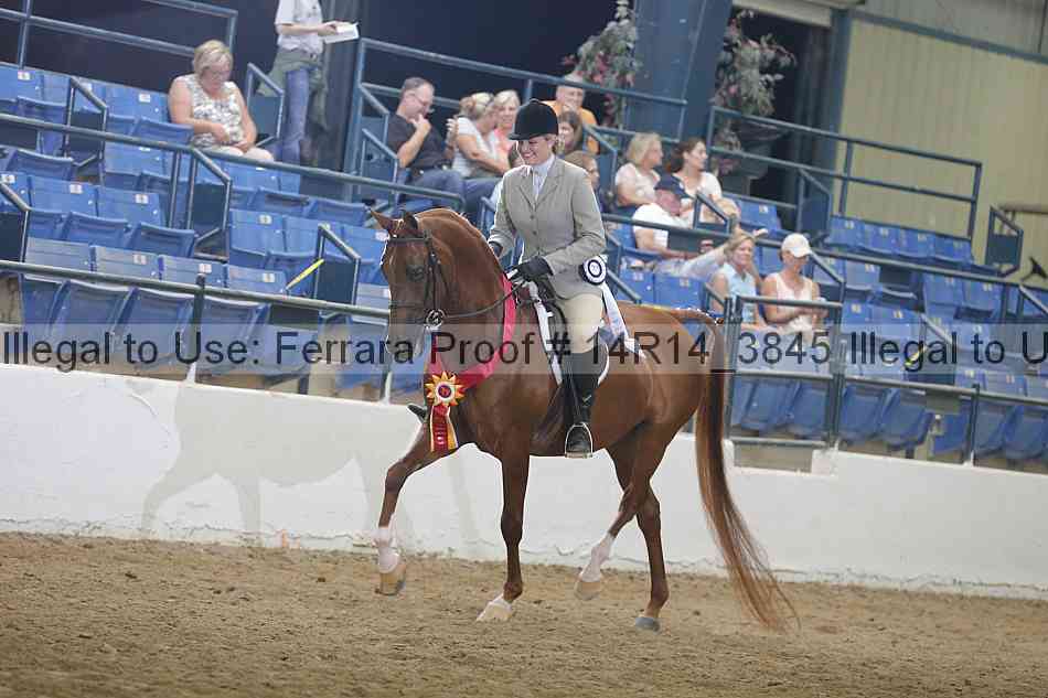 Proof Number 14r14_3845