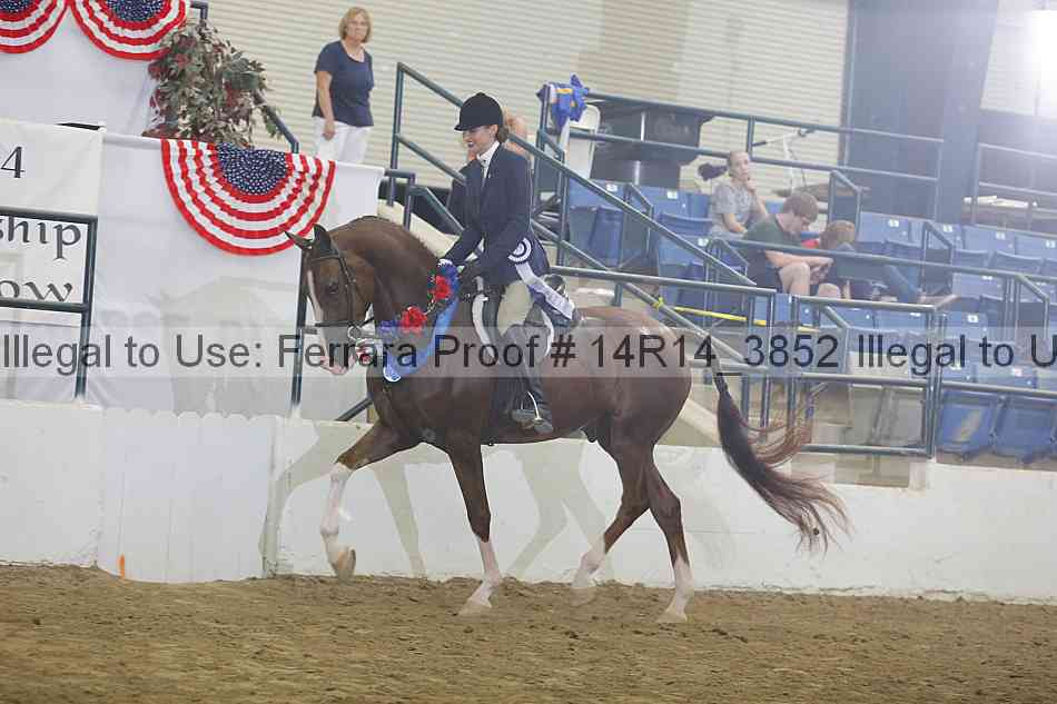 Proof Number 14r14_3852